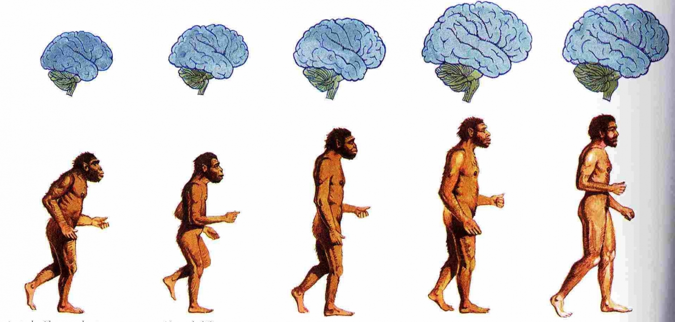 Ο Άνθρωπος η  Προέλευση, η Εξέλιξη και η Ζωή του.