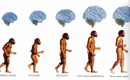 Ο Άνθρωπος η  Προέλευση, η Εξέλιξη και η Ζωή του.