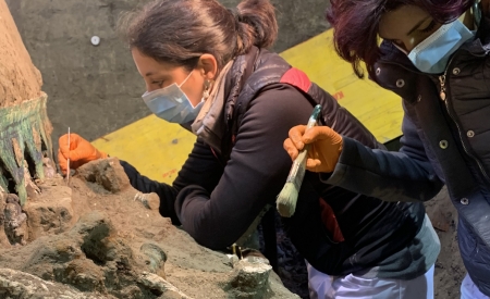 Πομπηία: Απίστευτο εύρημα ‑ Βρήκαν σχεδόν άθικτο ρωμαϊκό άρμα.